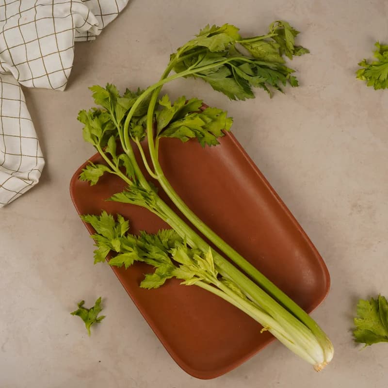 Celery