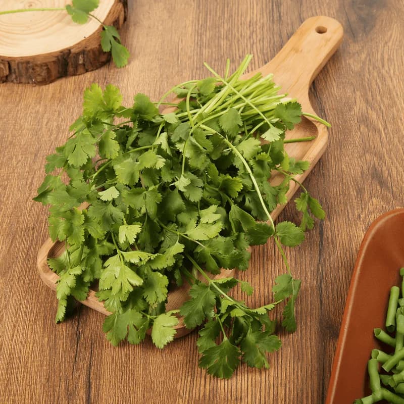 Coriander (Without Roots)