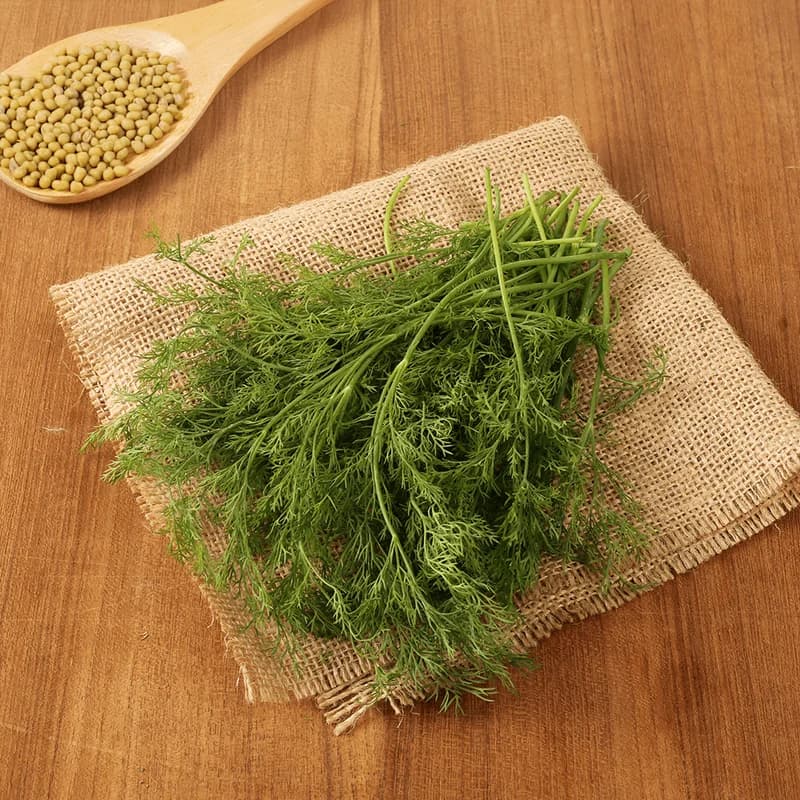 Dill Leaves (Shepu)