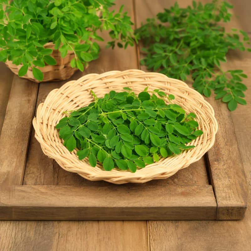 Drumstick Leaves (Moringa Leaves)