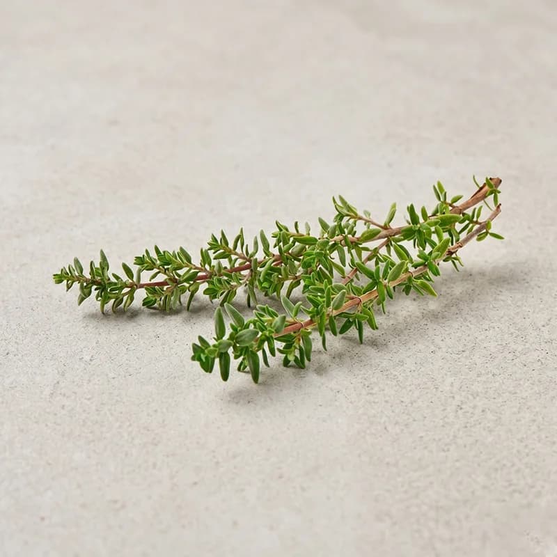 Fresh Thyme