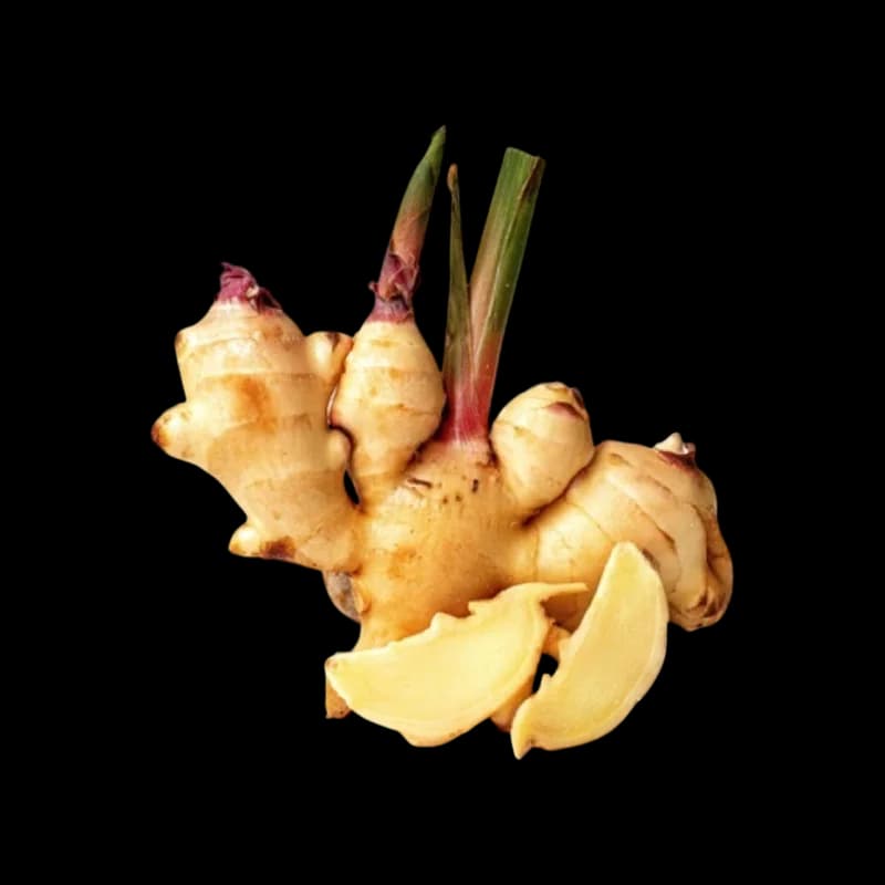 Galangal by Origin Fresh (Herb)