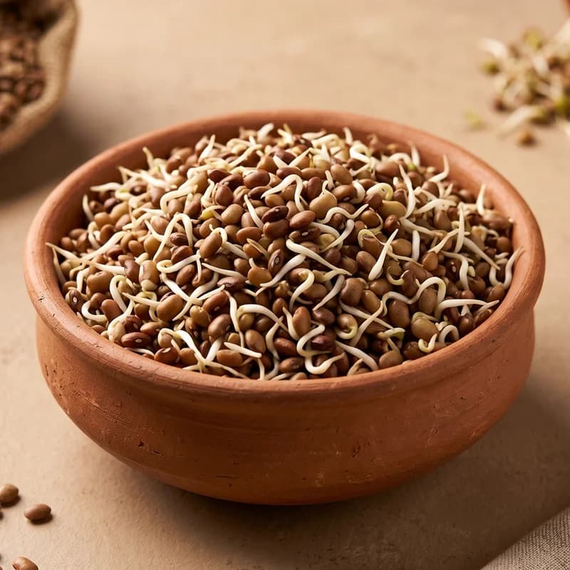 Horse Gram Sprouts (Molke Kalu)