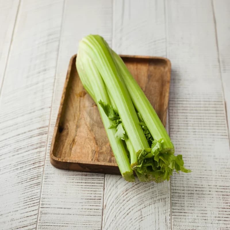Hydroponic Celery by Origin Fresh