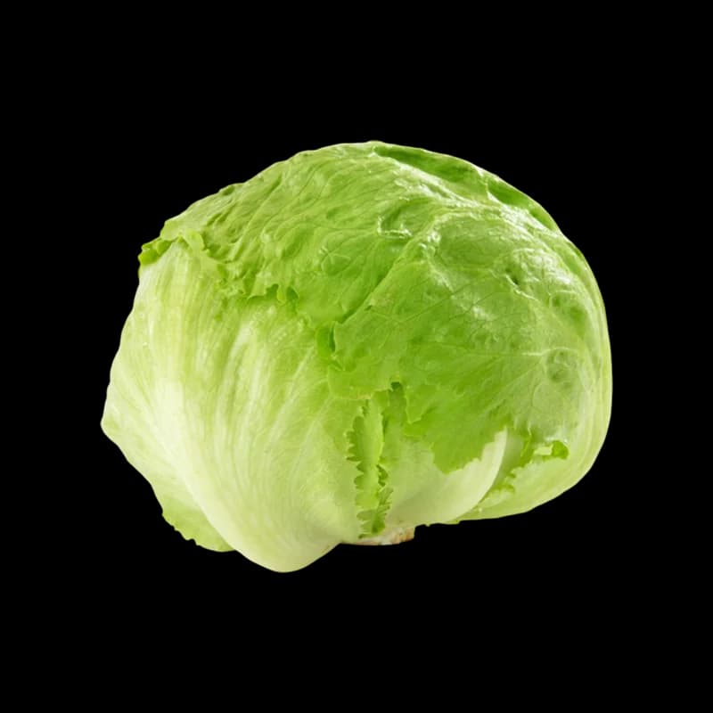 Hydroponic Iceberg Lettuce by Origin Fresh