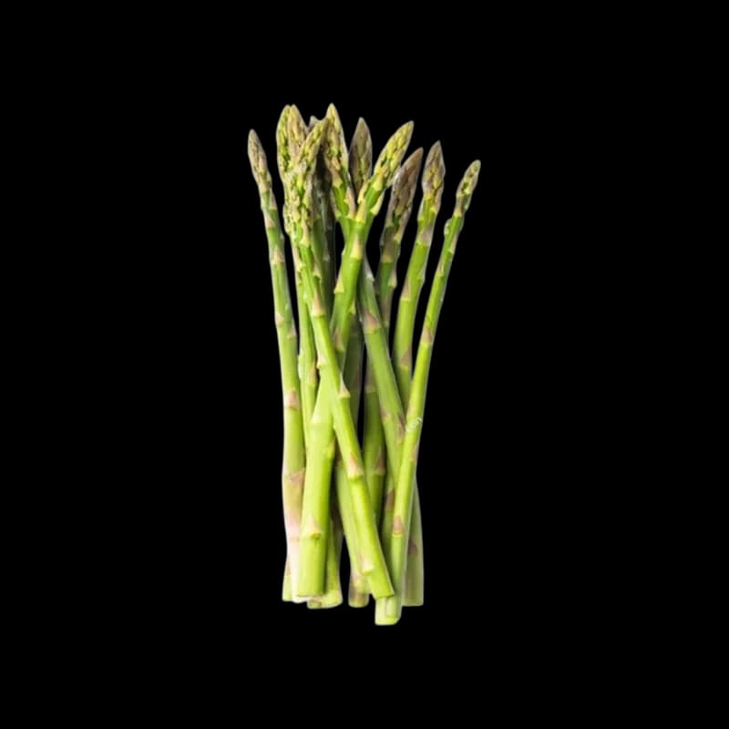 Indian Pencil Asparagus