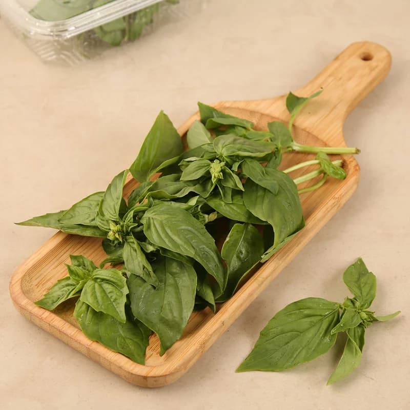 Italian Basil Leaves (Tulasi Yelegalu)