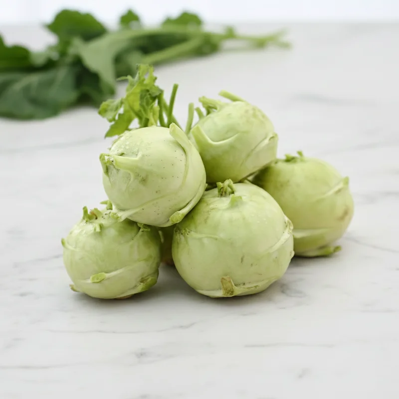 Knol Khol (Navilu Kosu)