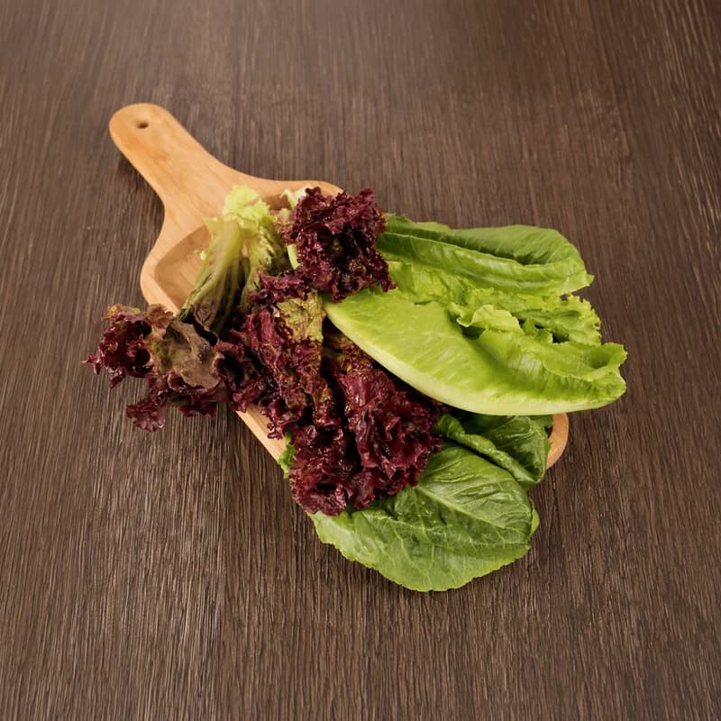 Lettuce Mix