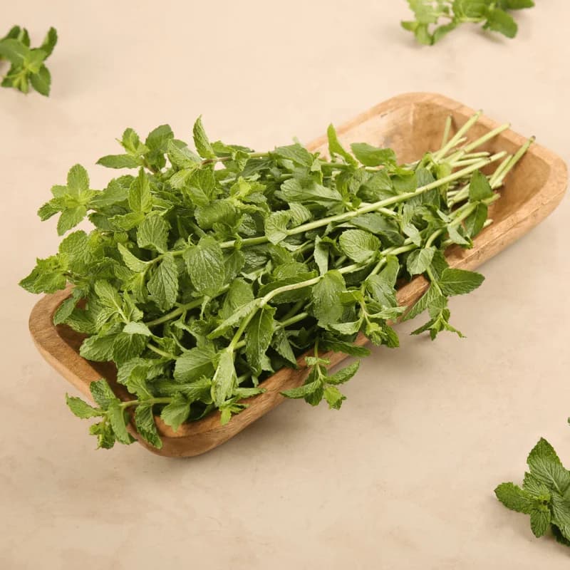 Mint Leaves (Pudina Soppu)
