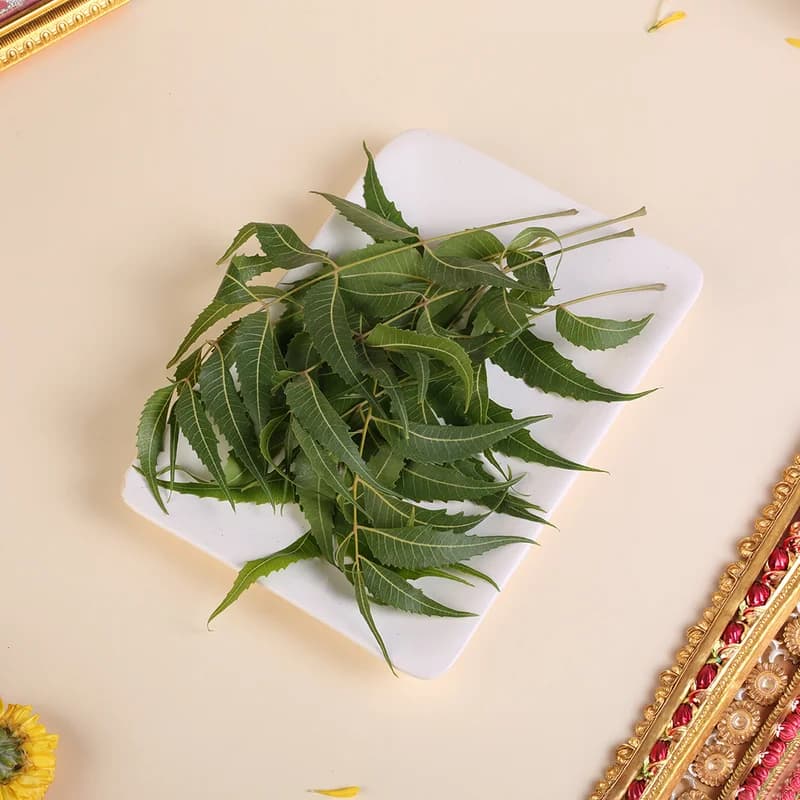 Neem Leaves (Bevu Soppu)