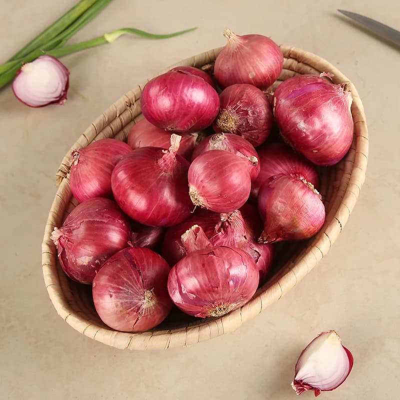 Onion (Eerulli)