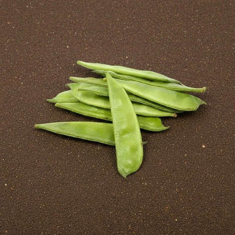 Organically Grown Broad Beans