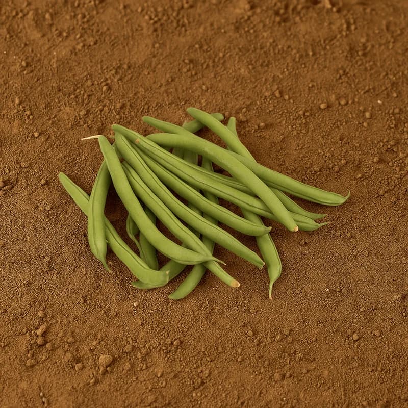 Organically Grown French Beans (Hurulikayi)