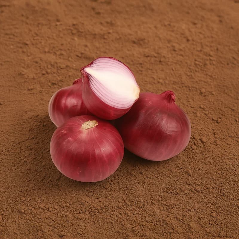 Organically Grown - Onion (Eerulli)