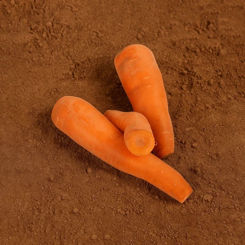 Organically Grown Ooty Carrot