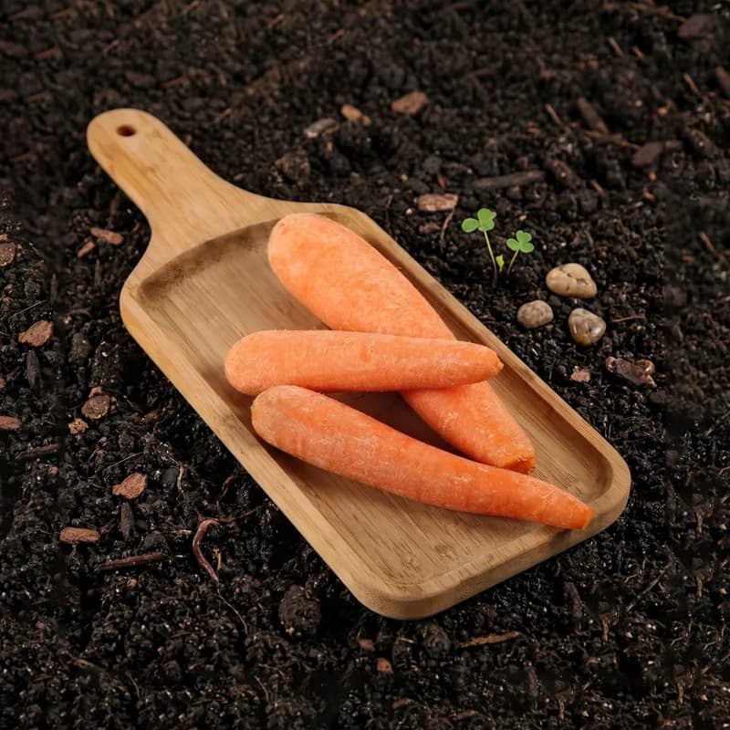 Organically Grown Orange Carrot
