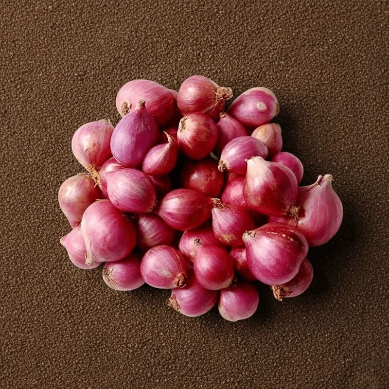 Organically Grown Sambhar Onion