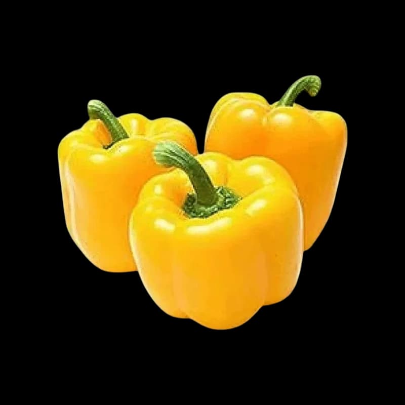Premium Yellow Capsicum