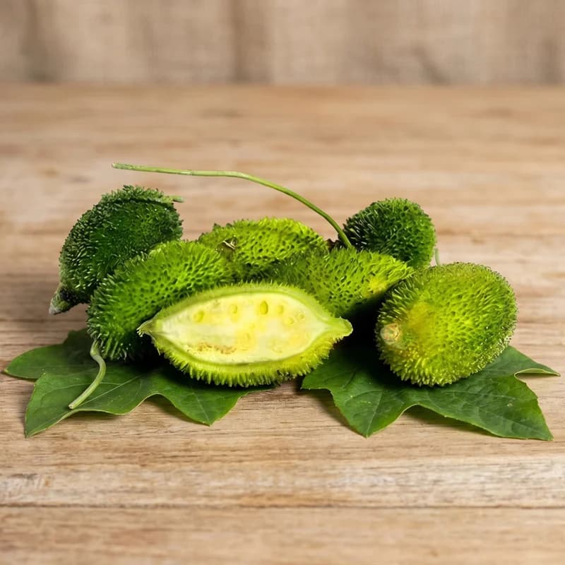 Spine Gourd (Maada Hagalakayi)