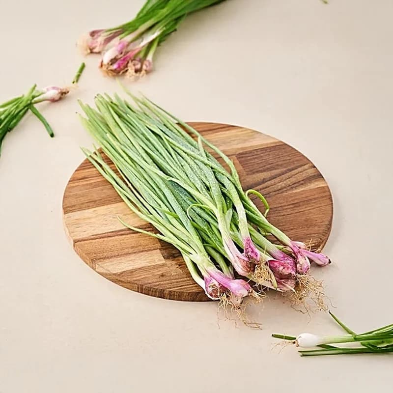 Spring Onion by Origin Fresh
